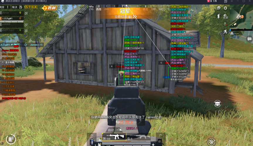 和平精英「雪花」直装辅助